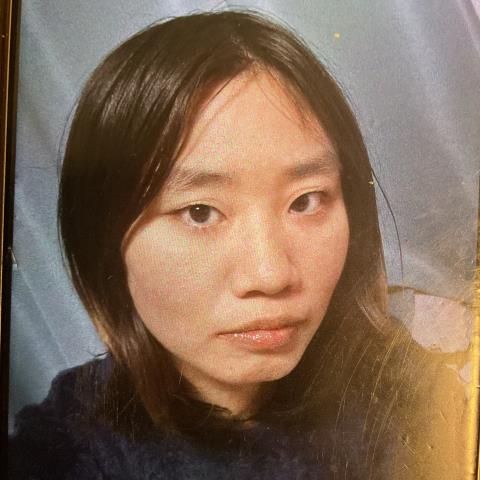 ��������(���)